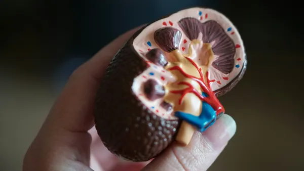 Diabetes and Your Kidneys: What Every Diabetic in Vidarbha Needs to Know Before It Is Too Late