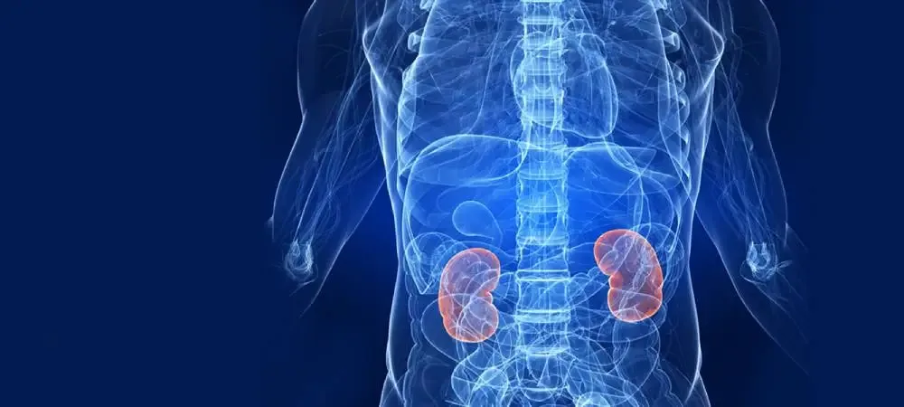 Blood in Urine (Haematuria) - Urocare Hospital Gondia