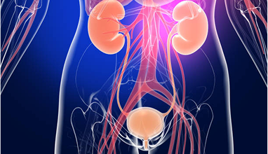 Understanding Female Urinary Problems — Urocare Hospital Gondia