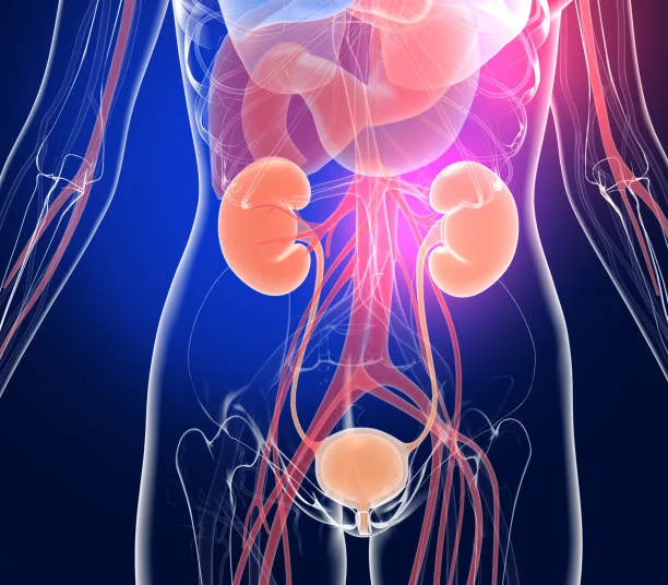 Female Urinary Problems - Urocare Hospital Gondia