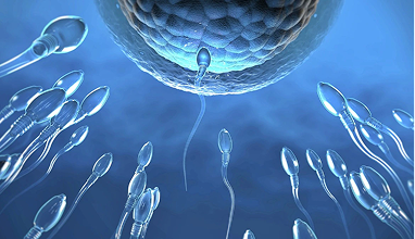 Understanding Male Infertility — Urocare Hospital Gondia