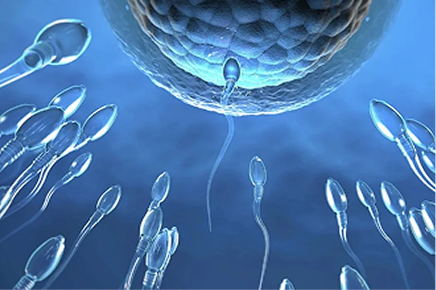 Male Infertility & Sexual Health - Urocare Hospital Gondia