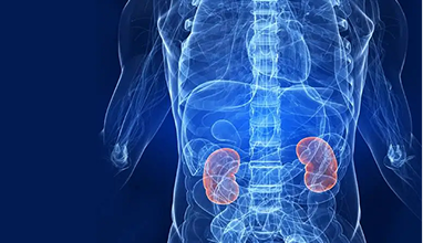 What Is Reconstructive Urology? — Urocare Hospital Gondia