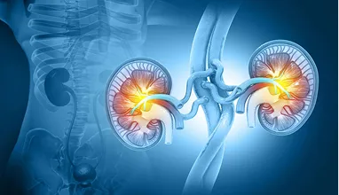 What Is Urological Trauma?